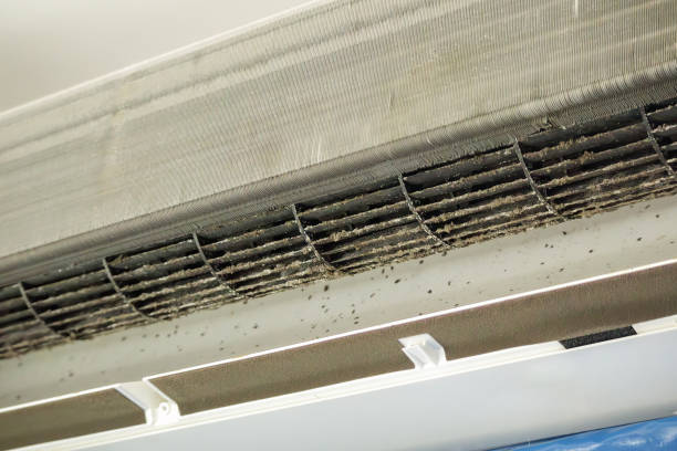 Best Air Vent Cleaning Services  in Aventura, FL